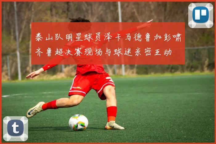 泰山队明星球员泽卡马德鲁加彭啸齐鲁超决赛现场与球迷亲密互动